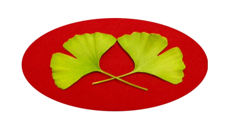 <mark style="background-color:rgba(0, 0, 0, 0);color:#88b06a" class="has-inline-color"><kbd>Zentrum für Naturheilkunde und Heilfasten</kbd></mark>